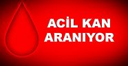 AB (+) KAN ARANIYOR