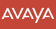 AVAYA İŞ ORTAKLIĞI ÖDÜLLERİNİ DAĞITTI