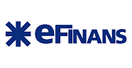 EFİNANSA YILDIRIM DÜŞTÜ