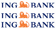ING BANK'IN BÜYÜK BAŞARISI