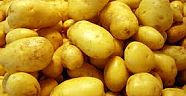PATATES BU KIŞ EL YAKMAYACAK