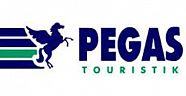 PEGAS'A TEPKİ