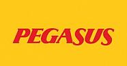 PEGASUS ÇEÇENİSTAN'DA