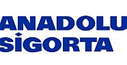 SİBER GÜVENLİĞİN ADRESİ ANADOLU SİGORTA