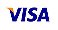 VISA KULLANICISI COŞTU, EKONOMİ COŞTU