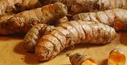 ZERDEÇAL BİR MUCİZENİN ADIDIR